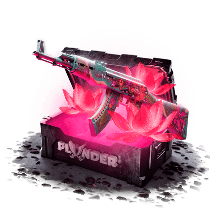 Case dream-loadout