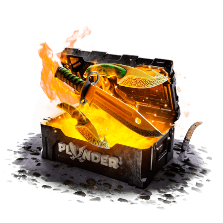Case treasure-chest